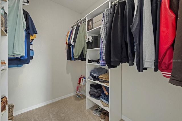 spacious closet with carpet flooring