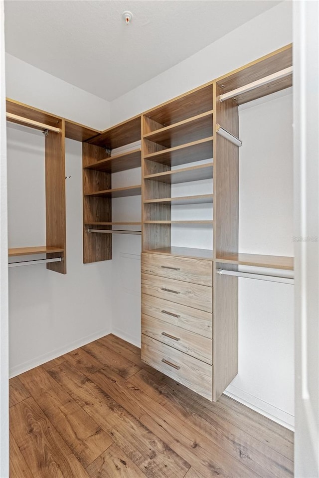 8377 38th Street Cir E Unit 308, Sarasota, FL 34243 - walk in closet featuring wood finished floors