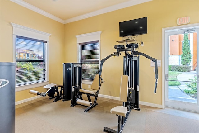 8377 38th Street Cir E Unit 308, Sarasota, FL 34243 - workout area featuring baseboards, ornamental molding, carpet, and healthy amount of natural light