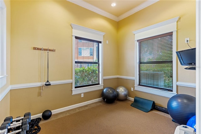 8377 38th Street Cir E Unit 308, Sarasota, FL 34243 - workout area with carpet, ornamental molding, and baseboards