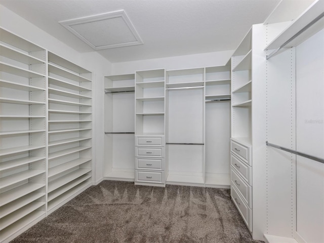 walk in closet with carpet