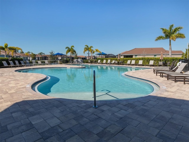 view of swimming pool with a patio