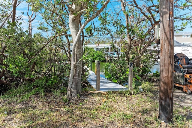 view of yard with a dock