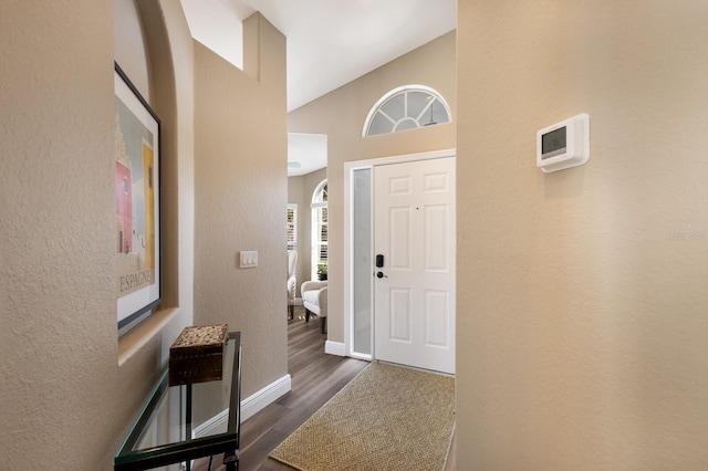 foyer entrance with dark hardwood / wood-style flooring and high vaulted ceiling