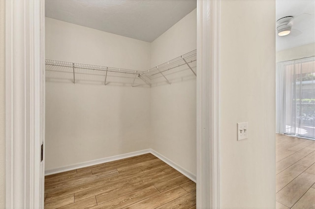 spacious closet with light hardwood / wood-style flooring