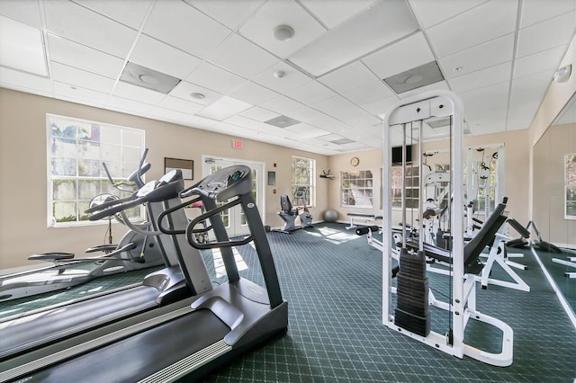 gym featuring carpet floors and a drop ceiling