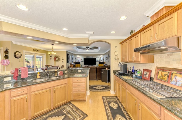 kitchen featuring ceiling fan with notable chandelier, stainless steel gas cooktop, crown molding, sink, and light hardwood / wood-style flooring