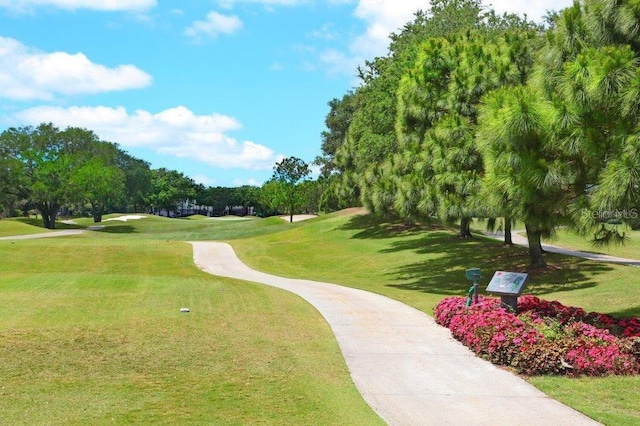 view of community featuring a lawn