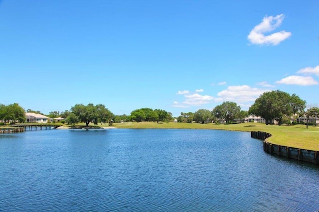 property view of water