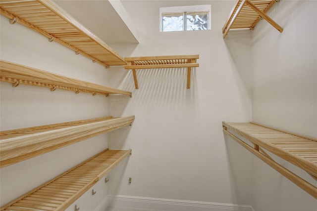 view of spacious closet