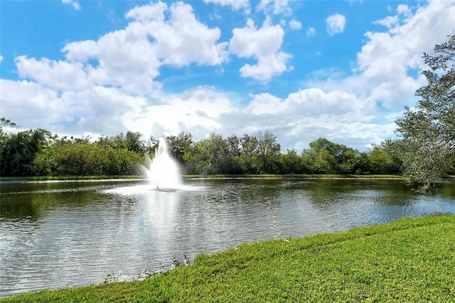 view of water feature