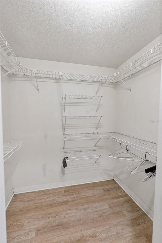 spacious closet featuring light wood-type flooring