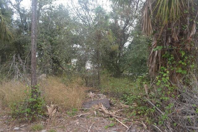 Maddock Cir, North Port, FL 34286 - photo 20
