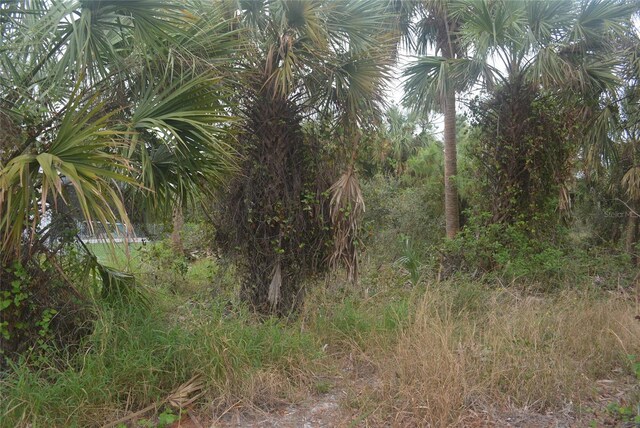 Maddock Cir, North Port, FL 34286 - photo 21