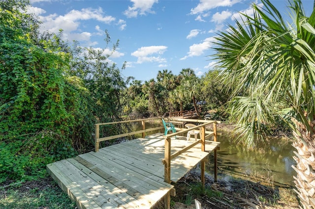 dock area featuring a water view