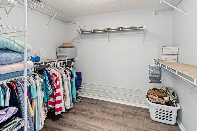 spacious closet featuring dark wood-type flooring