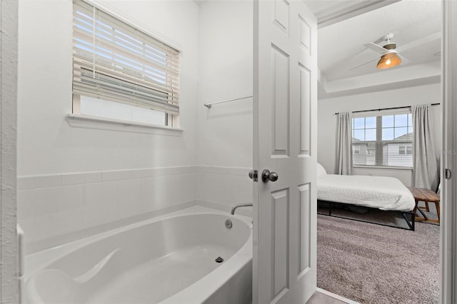 bathroom featuring a raised ceiling and a washtub