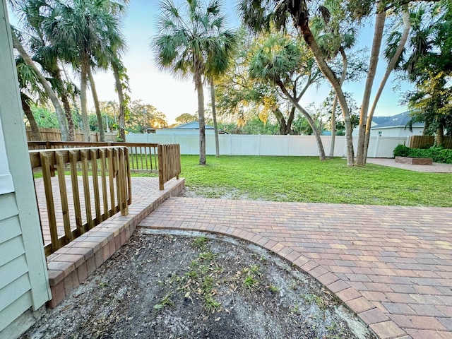 view of yard with a patio