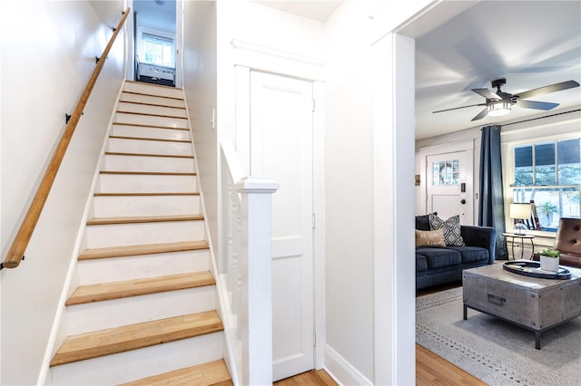 staircase featuring ceiling fan and hardwood / wood-style floors