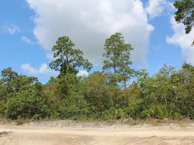 2635 Leonard Dr, Deltona, FL 32725 - photo 3