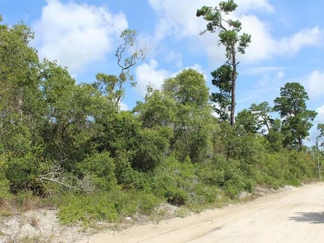 2635 Leonard Dr, Deltona, FL 32725 - photo 4