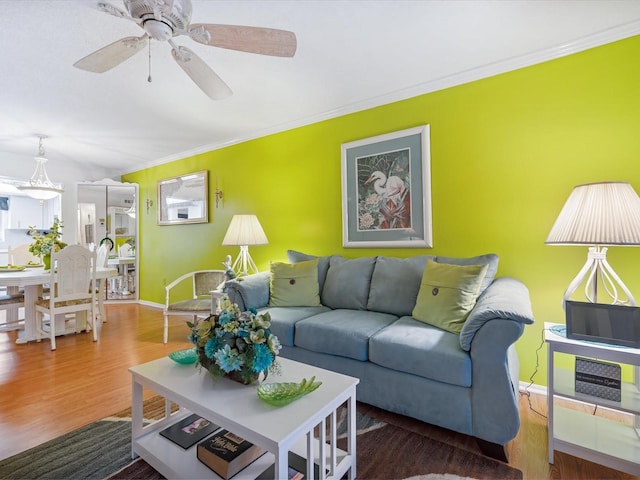 living room with wood-type flooring, ceiling fan, and crown molding