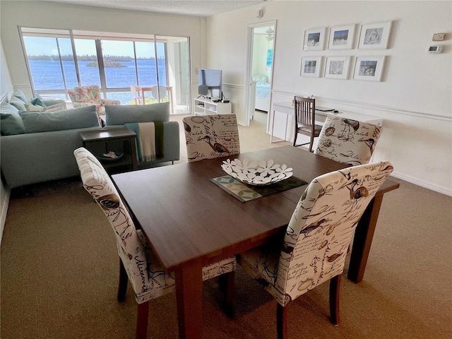 dining area with carpet flooring