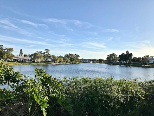 property view of water