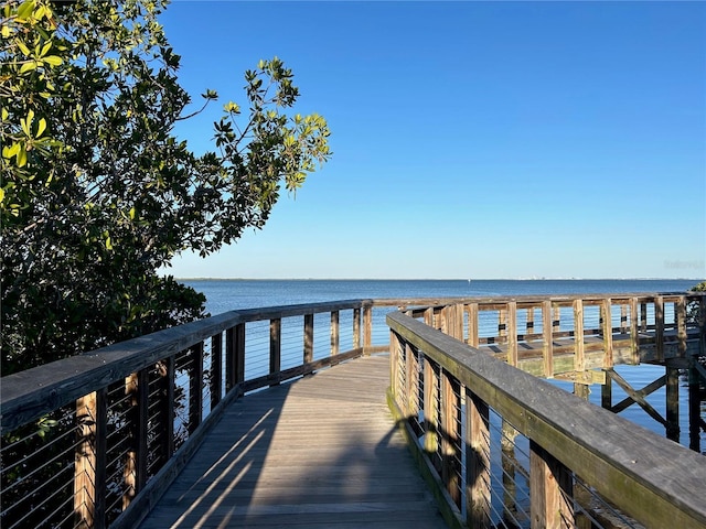 dock area with a water view