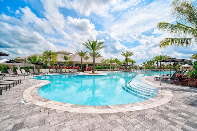 view of pool featuring a patio