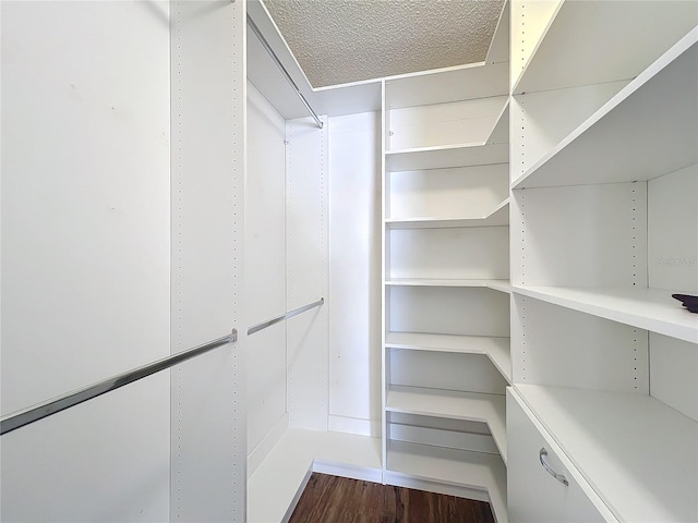 walk in closet featuring dark hardwood / wood-style flooring