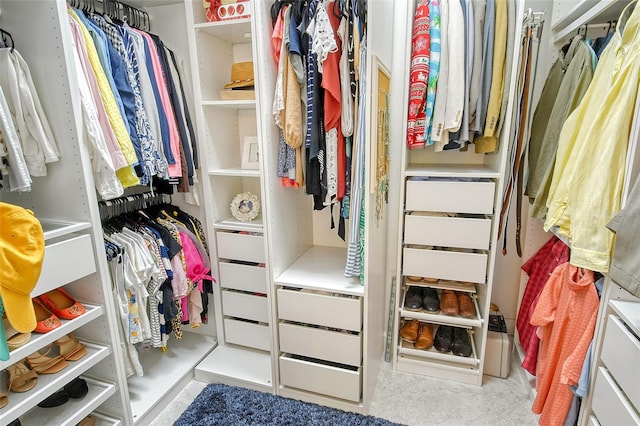 view of walk in closet