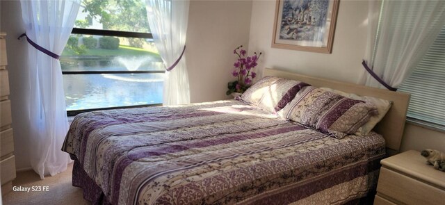 2808 60th Ave W Unit 626, Bradenton, FL 34207 - bedroom with carpet