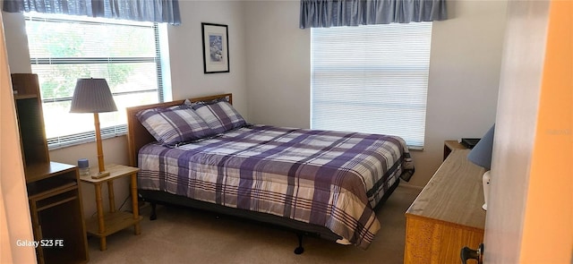 bedroom featuring carpet floors