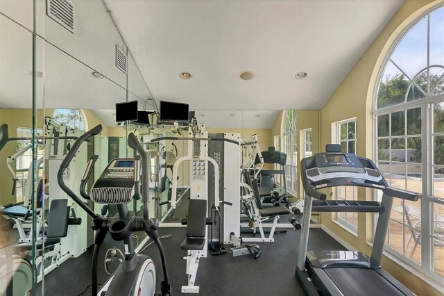 exercise room featuring vaulted ceiling