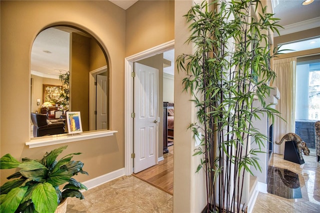 hall featuring light hardwood / wood-style floors and ornamental molding