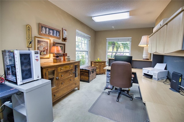 office with a textured ceiling and light colored carpet