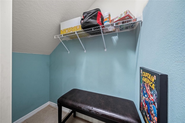 spacious closet featuring carpet floors and vaulted ceiling