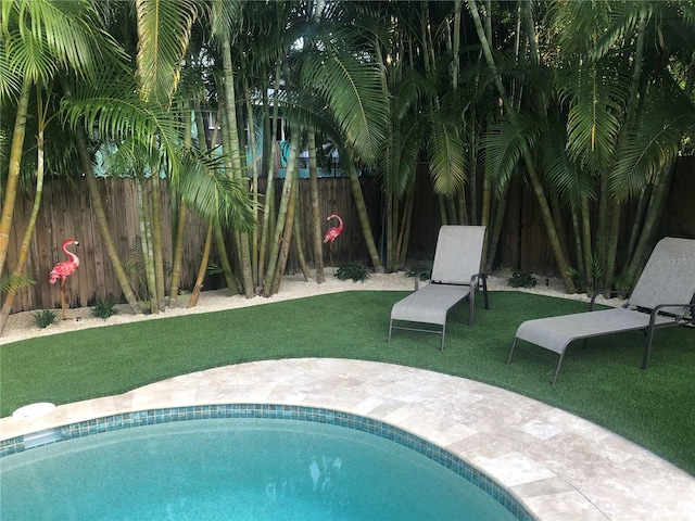 view of swimming pool with a patio