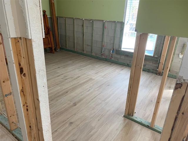 spare room featuring plenty of natural light and light hardwood / wood-style flooring