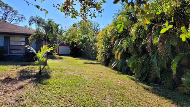 view of yard with a shed