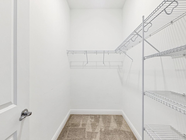 5058 Surfside Cir, Lakewood Ranch, FL 34211 - walk in closet featuring carpet