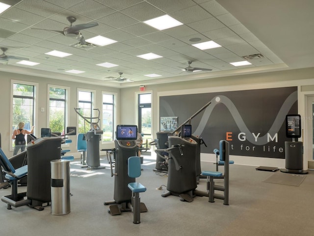 exercise room with plenty of natural light, visible vents, and carpet floors