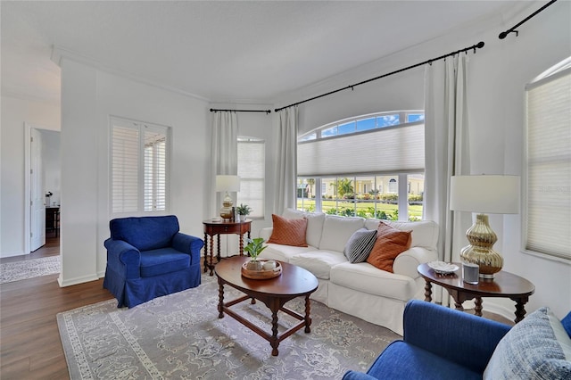 living room with hardwood / wood-style floors and crown molding