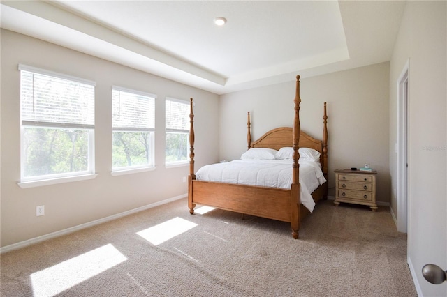 16926 Harvest Moon Way, Bradenton, FL 34211 - bedroom featuring light colored carpet, a tray ceiling, and baseboards