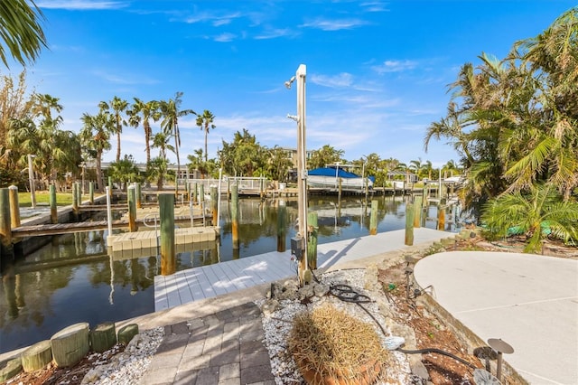 dock area with a water view