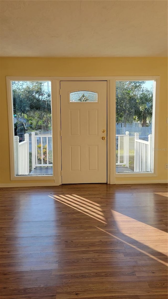 foyer entrance with dark hardwood / wood-style floors and a wealth of natural light