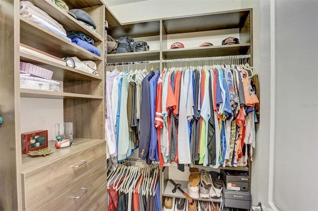 view of spacious closet