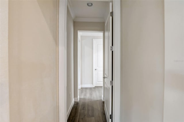 hallway featuring dark wood-type flooring