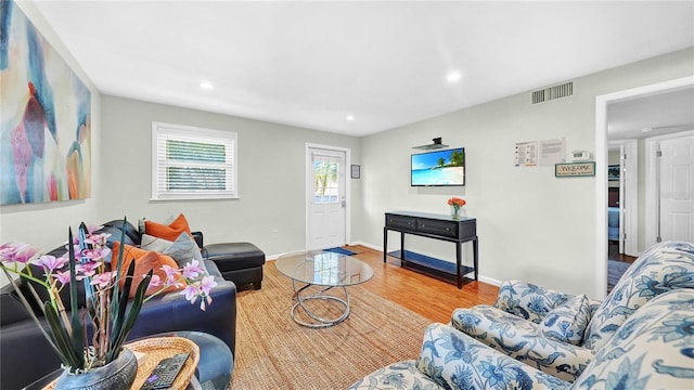 living room featuring wood-type flooring